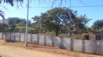Loteamento Mateus Leme | Alameda Das Buganvilias — foto 3