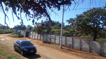 Loteamento Mateus Leme | Alameda Das Buganvilias — foto 4