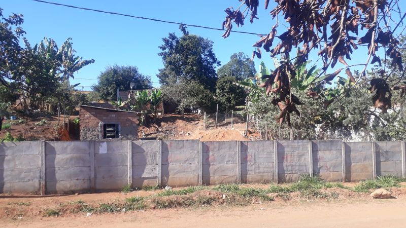 Loteamento Mateus Leme | Alameda Das Buganvilias