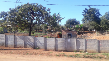 Loteamento Mateus Leme | Alameda Das Buganvilias — foto 5