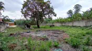 LOTE | FLEMING — foto 3